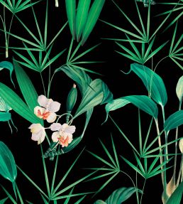 Palm Springs Wallpaper by MINDTHEGAP Anthracite