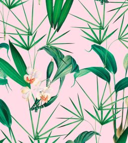 Palm Springs Wallpaper by MINDTHEGAP Green, Pink, White