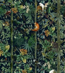 Wildlife Of Papua Wallpaper by MINDTHEGAP 27