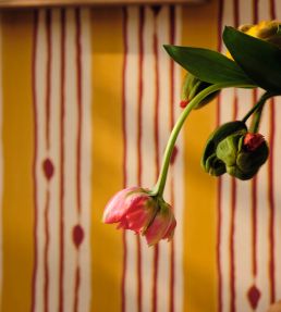 Minuano Wallpaper by MINDTHEGAP Lemon
