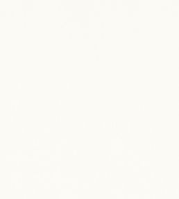Mirasol Velvet Fabric by Thibaut Ivory