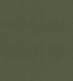 Mirasol Velvet Fabric by Thibaut Juniper