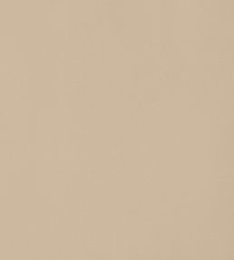 Mirasol Velvet Fabric by Thibaut Sand