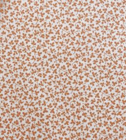 Miss Polly Fabric by Ian Sanderson Carrot