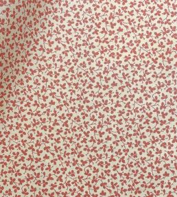 Miss Polly Fabric by Ian Sanderson Persimmon