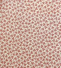 Miss Polly Fabric by Ian Sanderson Persimmon