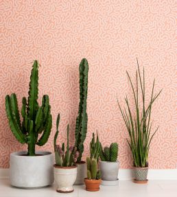 Coral Wallpaper by MissPrint Peach Blush