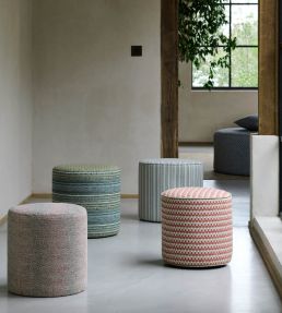 Ponto Fabric by Clarke & Clarke Spice/Sage