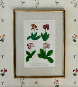 Mitford Wallpaper by Parker & Jules Tea