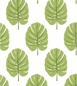 Monstera Wallpaper by Thibaut Apple Green