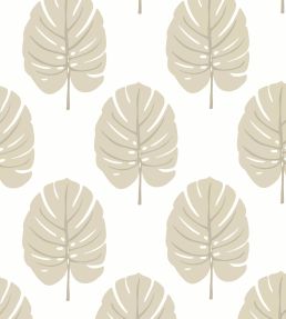 Monstera Wallpaper by Thibaut Beige