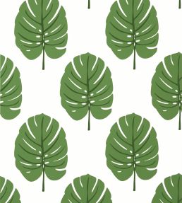 Monstera Wallpaper by Thibaut Green