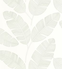 Moonlight Banana Tree Wallpaper by Caselio Vert Amande