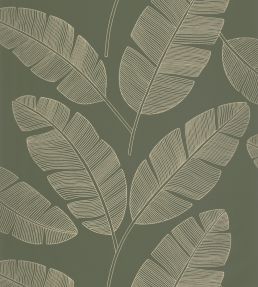 Moonlight Banana Tree Wallpaper by Caselio Vert Kaki
