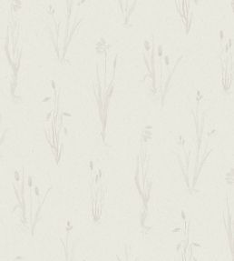 Moorland Wallpaper by Borastapeter Neutral
