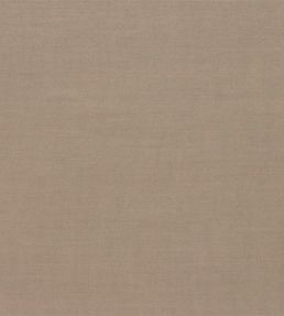 Ruskin Fabric by Morris & Co Mole