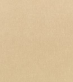 Motion Fabric by Kirkby Design Desert