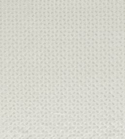 Necto Fabric by Clarke & Clarke Ivory