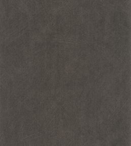 Nest Wallpaper by Casadeco Noir Reglisse