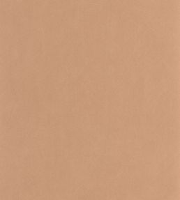 Nest Wallpaper by Casadeco Terracotta