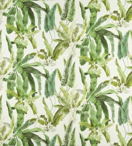 Benmore Fabric by Nina Campbell Green/Ivory
