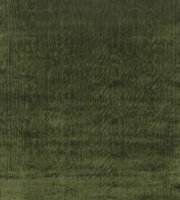 Cantabria Fabric by Nina Campbell Grass Green