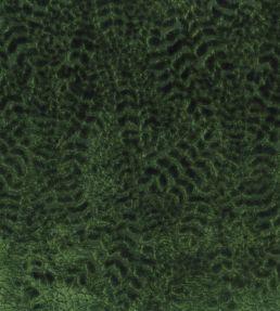 Lizong Fabric by Nina Campbell Emerald