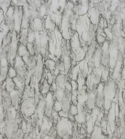 Kershaw Plain Wallpaper by Nina Campbell Black/Ivory