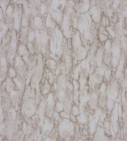 Kershaw Plain Wallpaper by Nina Campbell Plaster/Tobacco