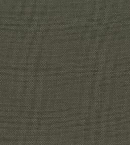 Colette Fabric by Nina Campbell TAUPE