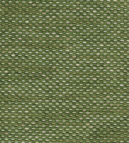 Tartuffe Fabric by Nina Campbell GREEN/SOFT GOLD