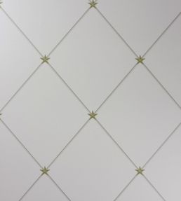 Torosay Wallpaper by Nina Campbell Gold, Taupe