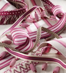 Wide Woven Border Trimming by Nina Campbell 2