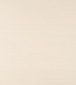Sisal Wallpaper by Nobilis 61