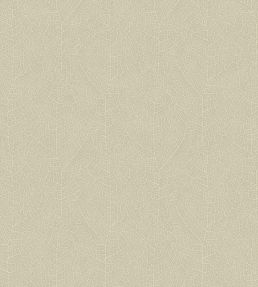 Nola Wallpaper by Casadeco Grege