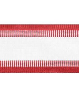 Nordia Tape Trimming by Thibaut Cranberry