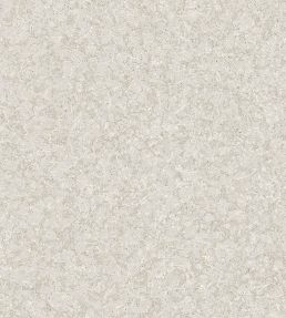 Northern Stone Wallpaper by Borastapeter Grey