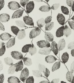 Northia Wallpaper by Clarke & Clarke Charcoal