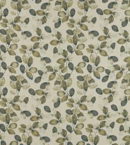 Northia Fabric by Clarke & Clarke Olive/Peacock