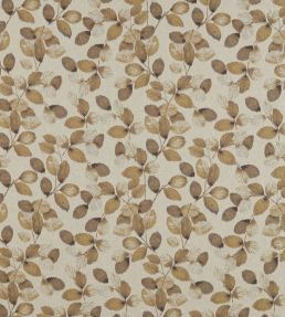 Northia Fabric by Clarke & Clarke Pewter