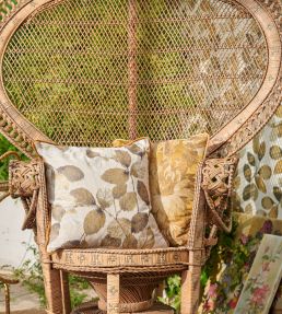 Northia Fabric by Clarke & Clarke Pewter