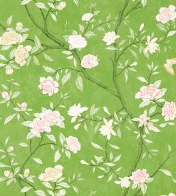 Nostell Priory Wallpaper by Zoffany Evergreen
