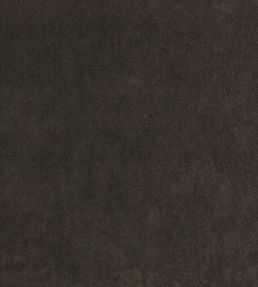 Nova FR Fabric by Kirkby Design Charcoal