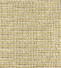 Oakworth Fabric by Designers Guild Alchemilla