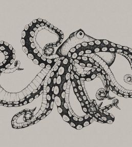 Octopus X-Ray Mural by Coordonne Ink