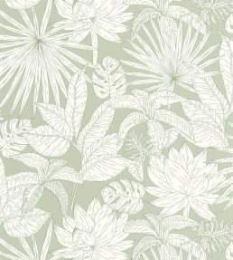 Odyssee Hawai Wallpaper by Caselio Vert Deau