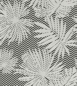 Ombre Wallpaper by Missoni Black
