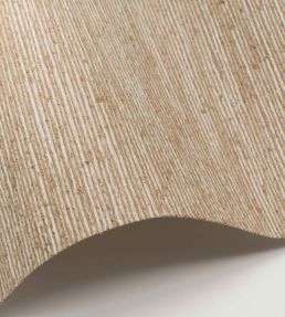 Ombre Wallpaper by Nobilis Beige