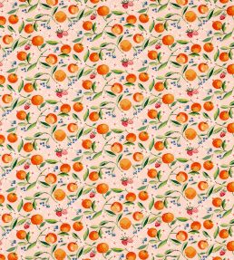 Orange Blossom Fabric by Clarke & Clarke Blush