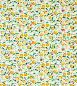 Orange Blossom Fabric by Clarke & Clarke Citron